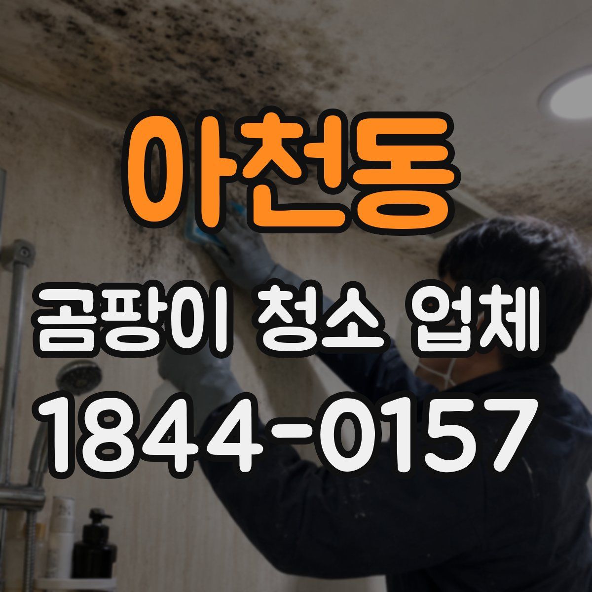 아천동 곰팡이 청소 업체