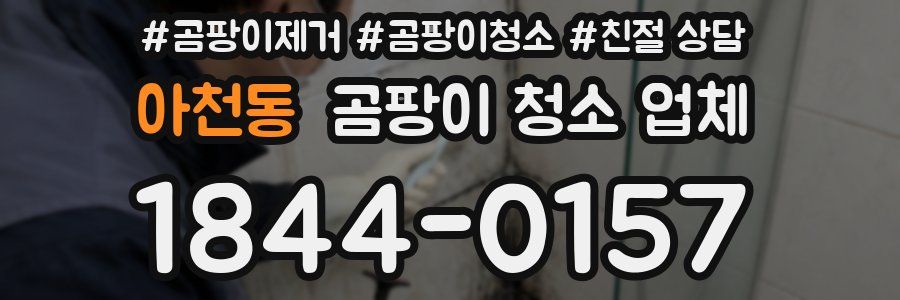 아천동 곰팡이 청소 업체