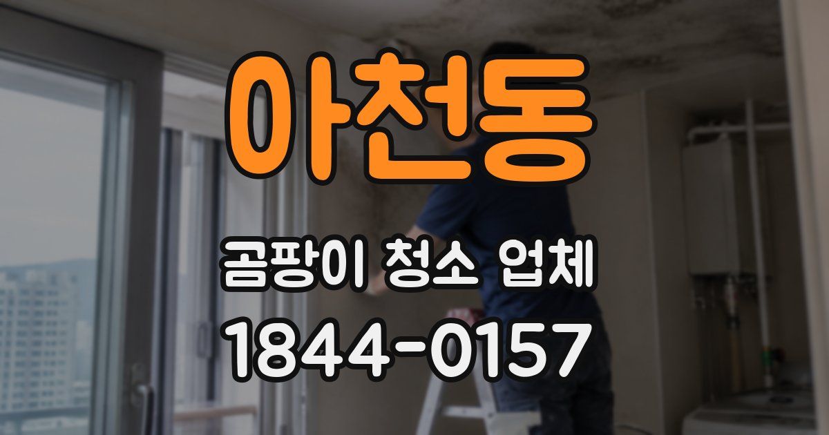 아천동 곰팡이 청소 업체