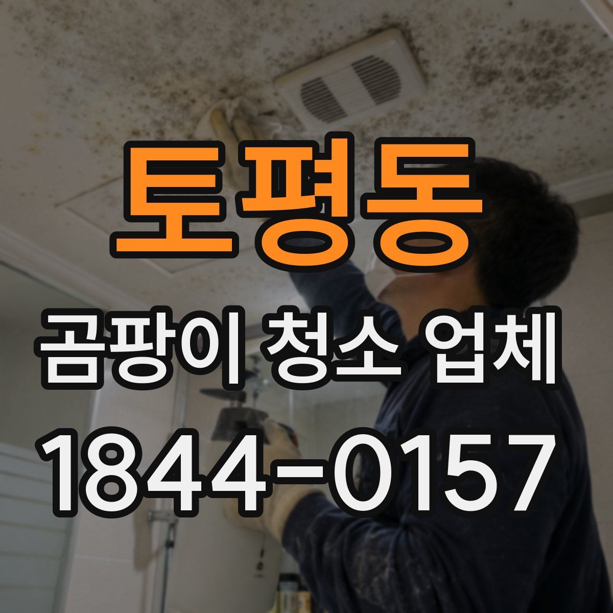 토평동 곰팡이 청소 업체