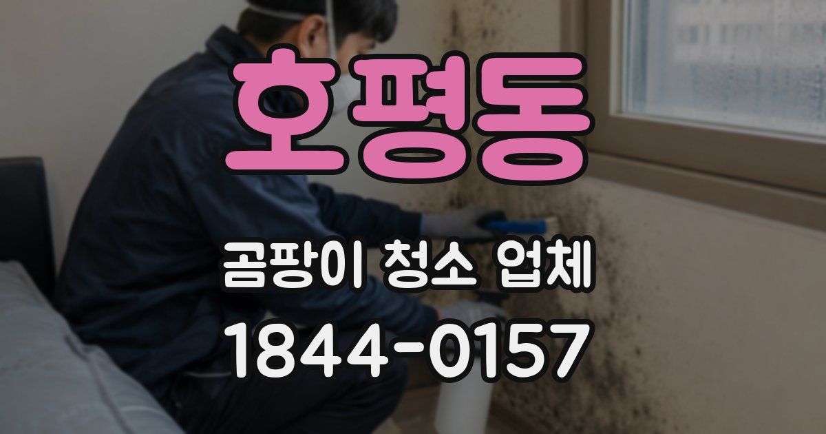 호평동 곰팡이 청소 업체