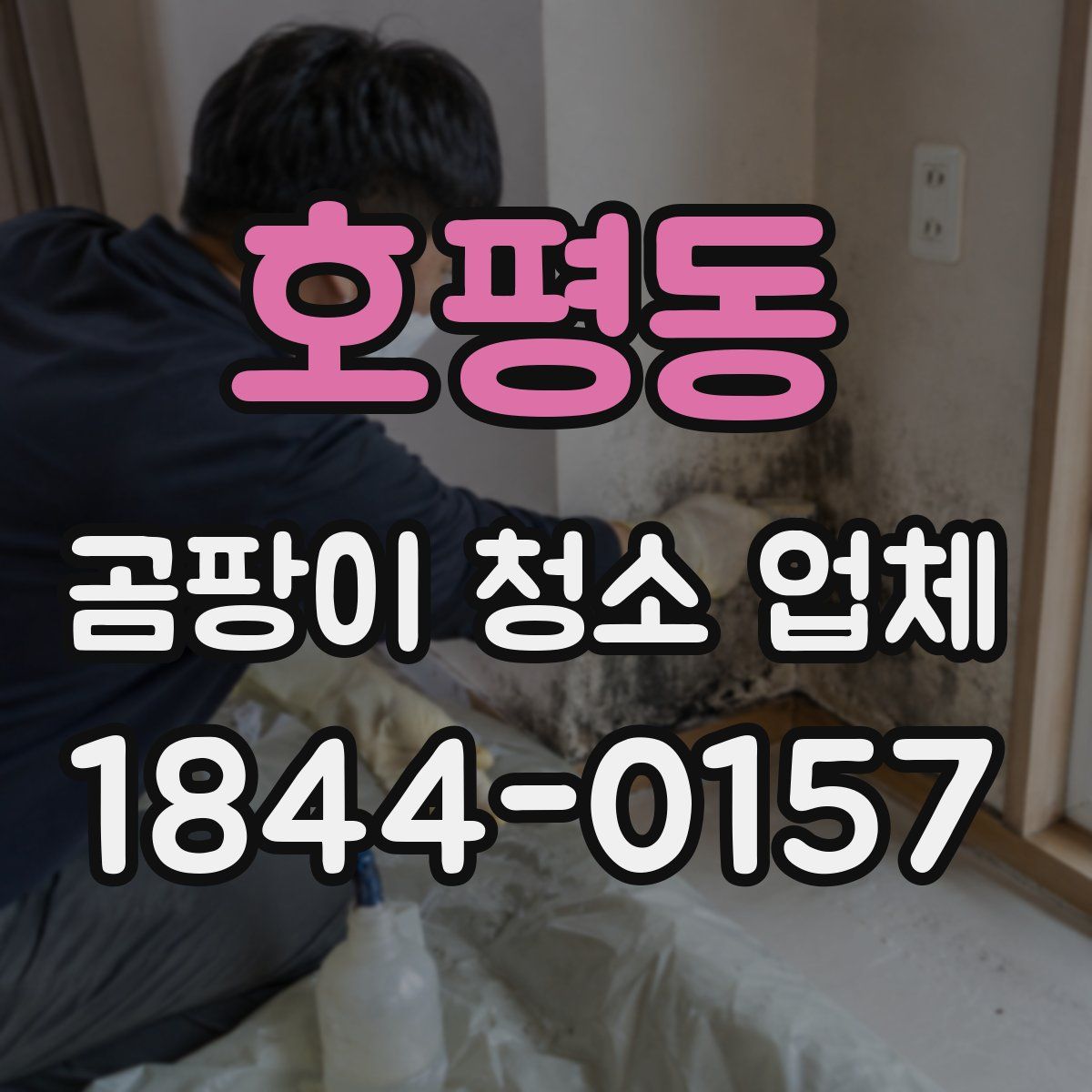 호평동 곰팡이 청소 업체