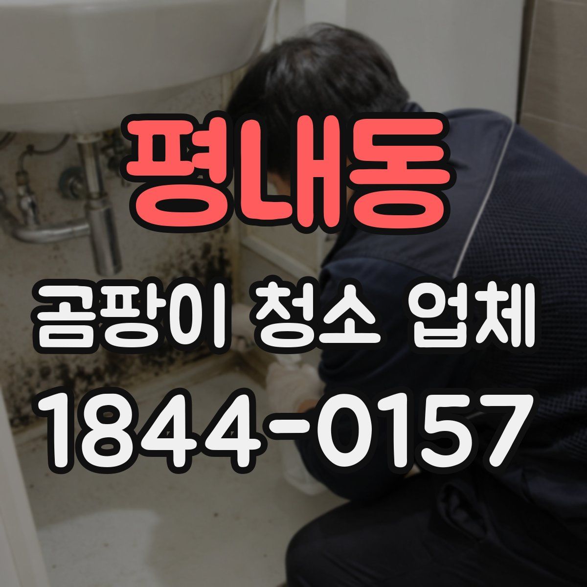 평내동 곰팡이 청소 업체