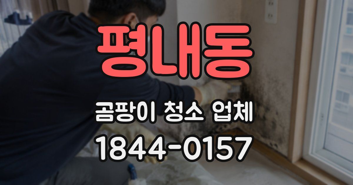 평내동 곰팡이 청소 업체