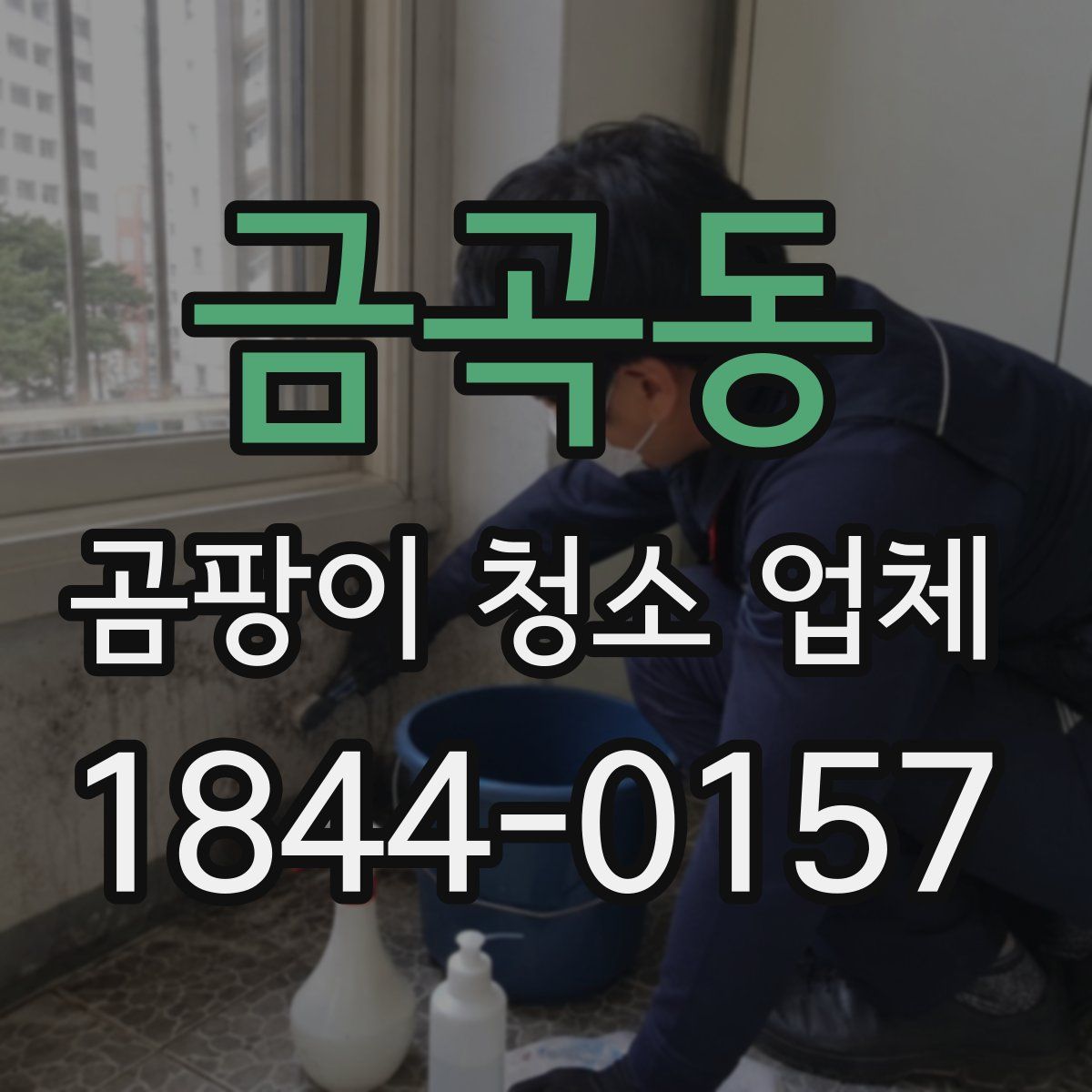 금곡동 곰팡이 청소 업체