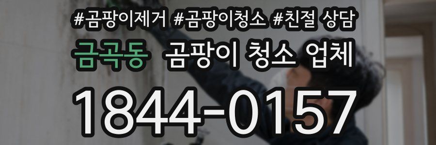 금곡동 곰팡이 청소 업체