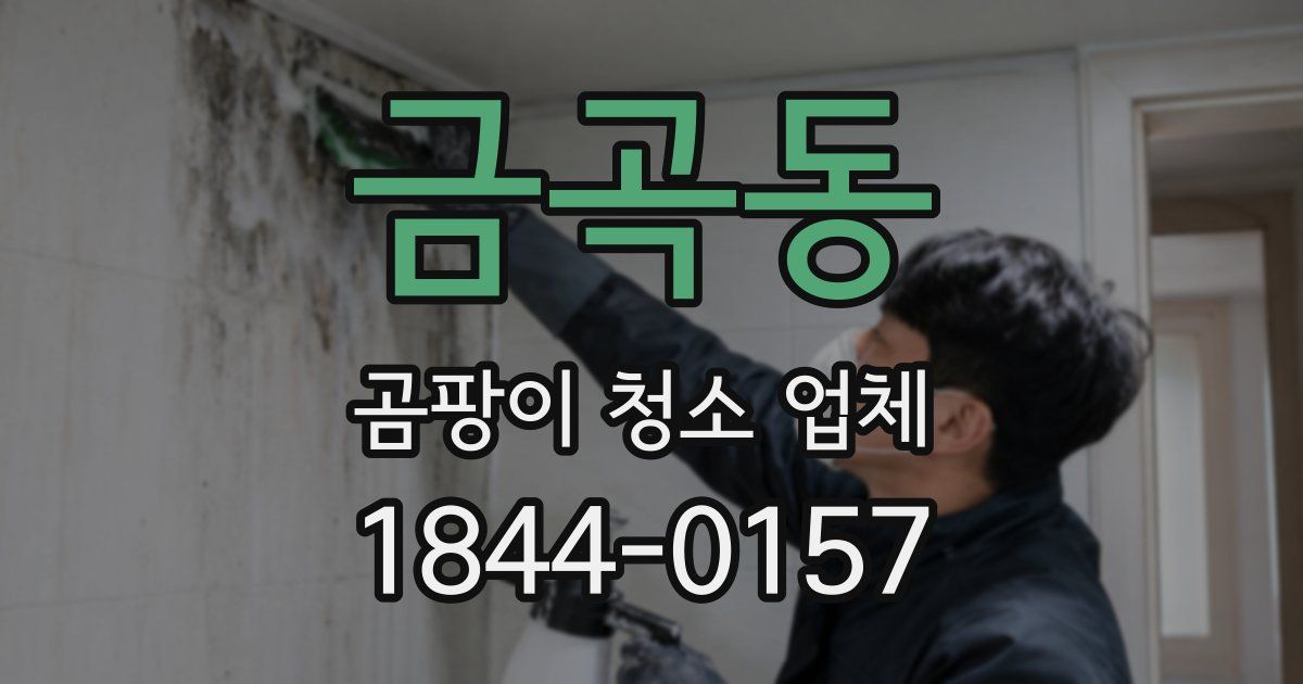 금곡동 곰팡이 청소 업체
