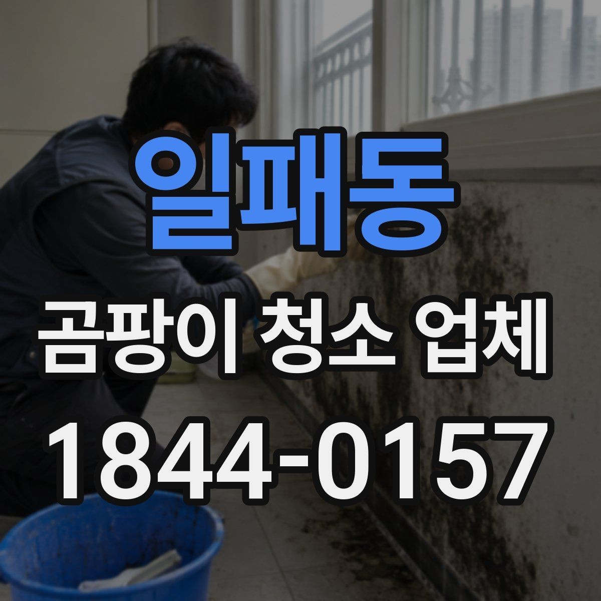 일패동 곰팡이 청소 업체 비용 문의 전에 확인할 것