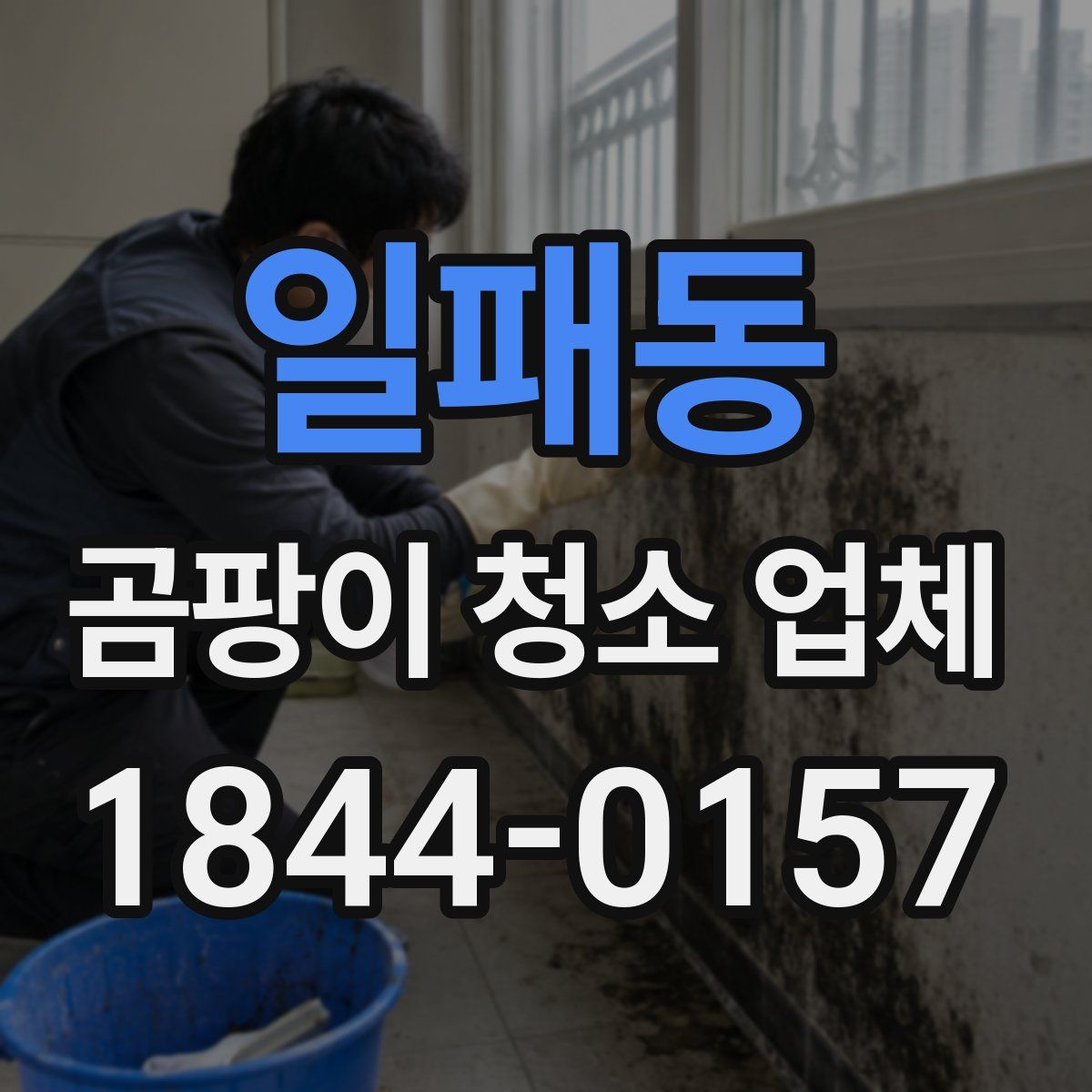 일패동 곰팡이 청소 업체