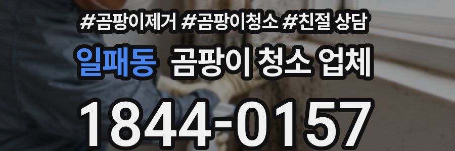 일패동 곰팡이 청소 업체