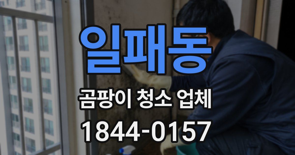 일패동 곰팡이 청소 업체