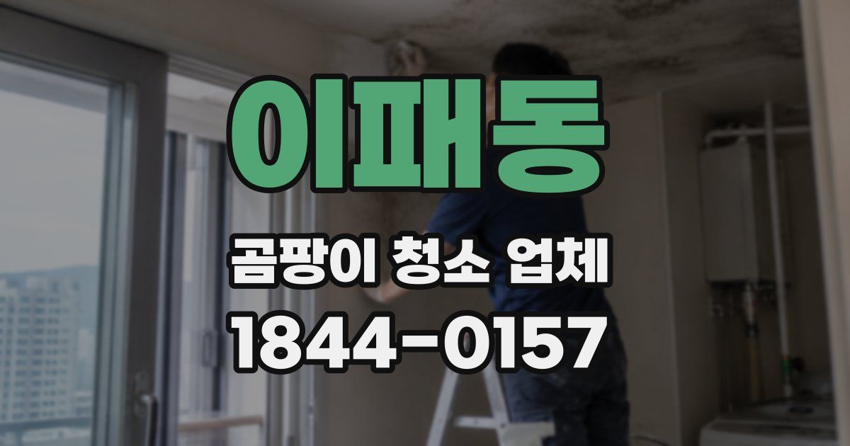 이패동 곰팡이 청소 업체