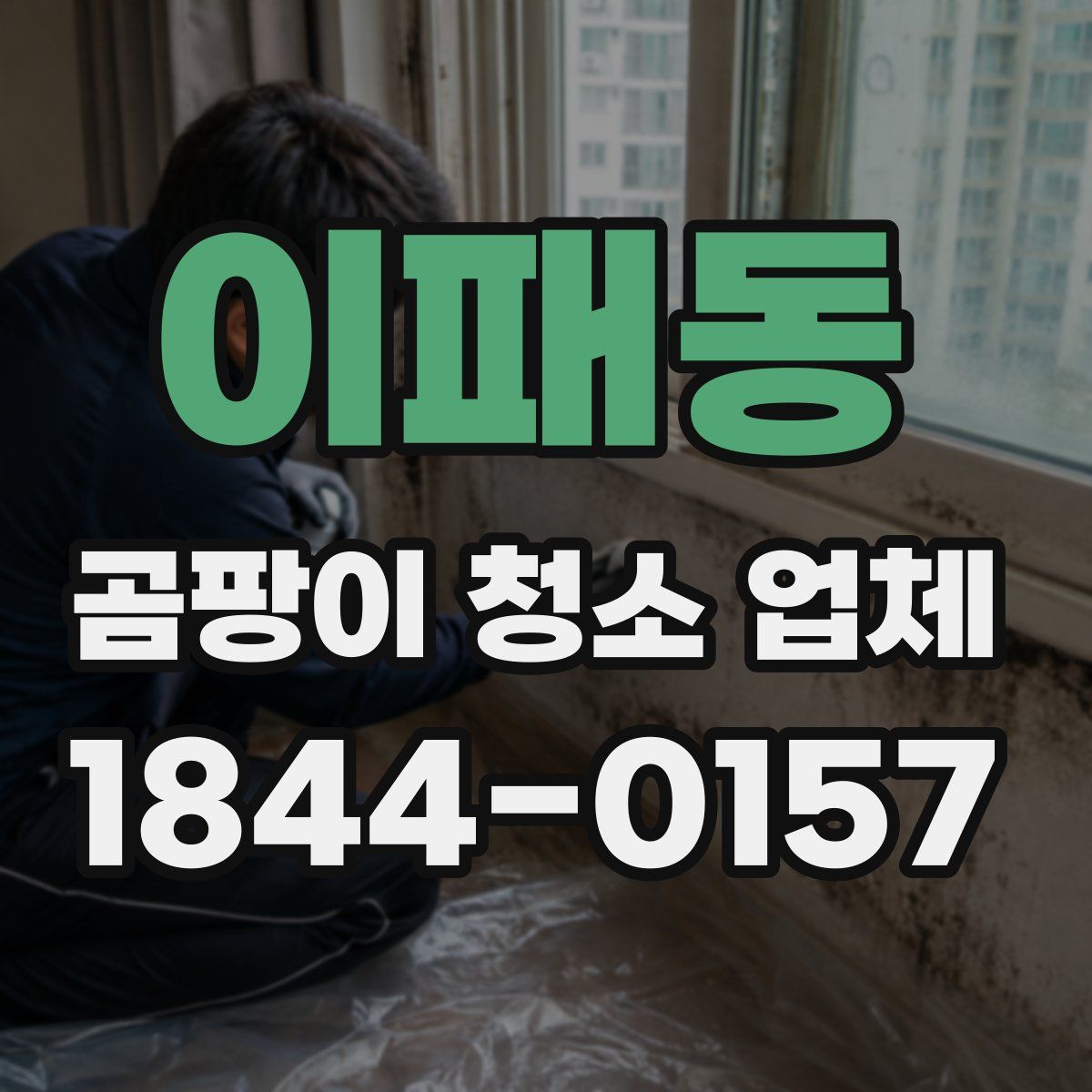 이패동 곰팡이 청소 업체