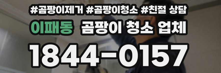 이패동 곰팡이 청소 업체