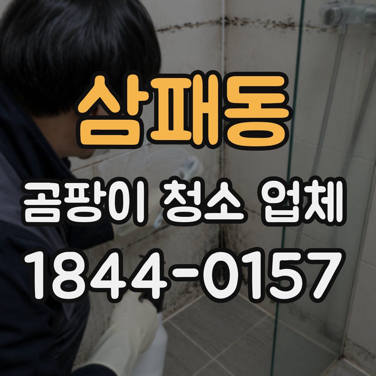 삼패동 곰팡이 청소 업체