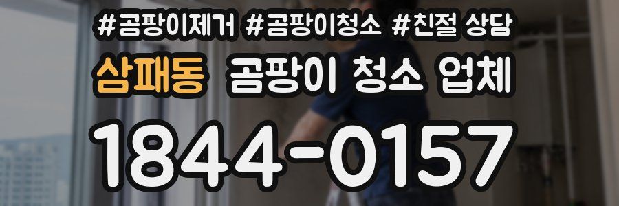 삼패동 곰팡이 청소 업체