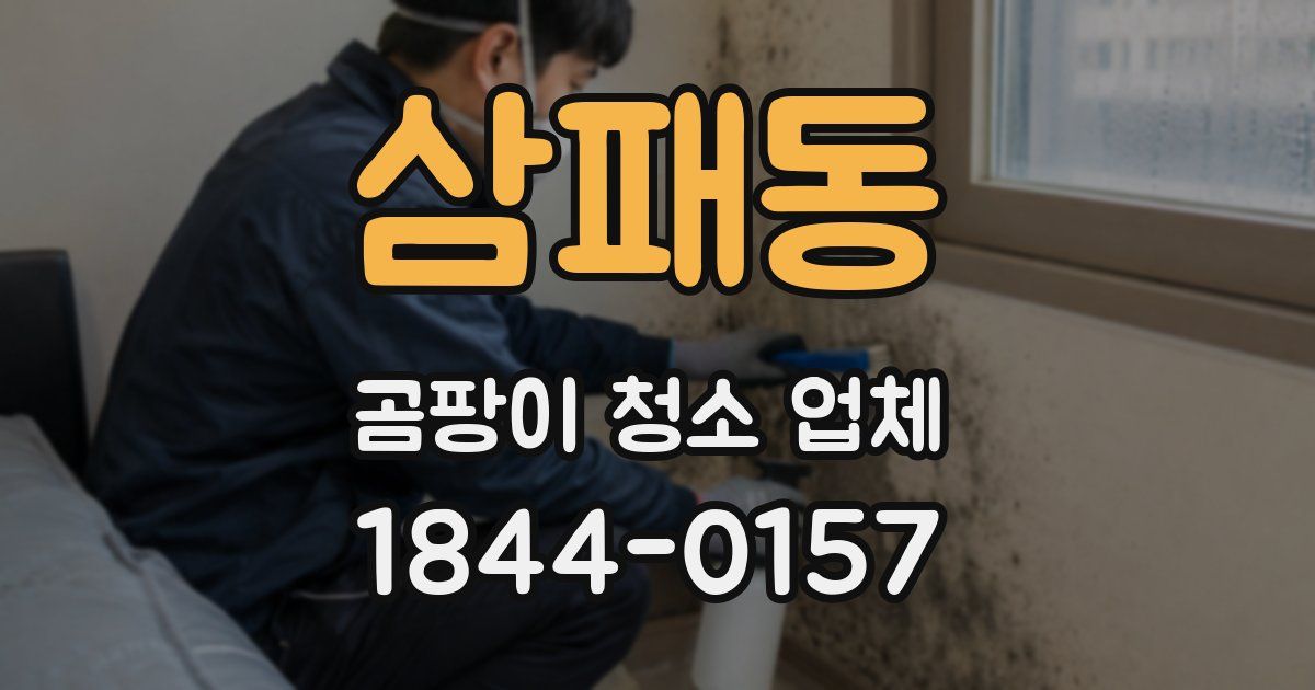 삼패동 곰팡이 청소 업체