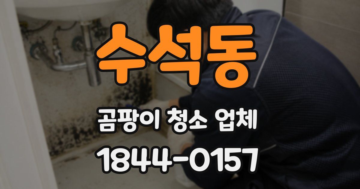 수석동 곰팡이 청소 업체