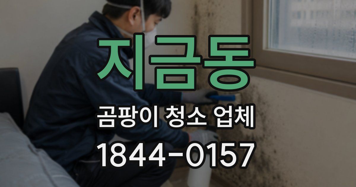 지금동 곰팡이 청소 업체