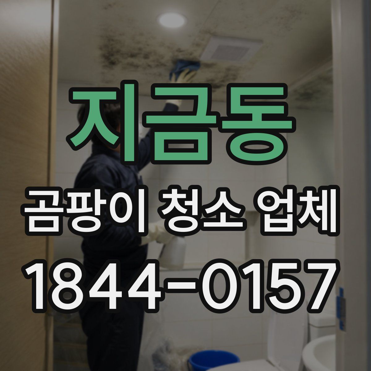 지금동 곰팡이 청소 업체