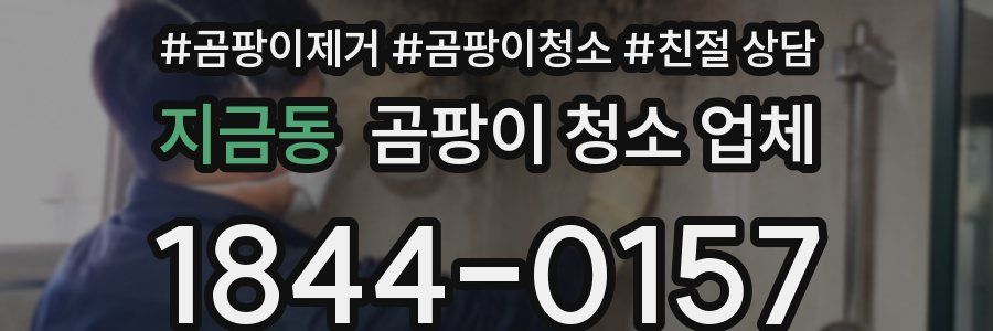 지금동 곰팡이 청소 업체