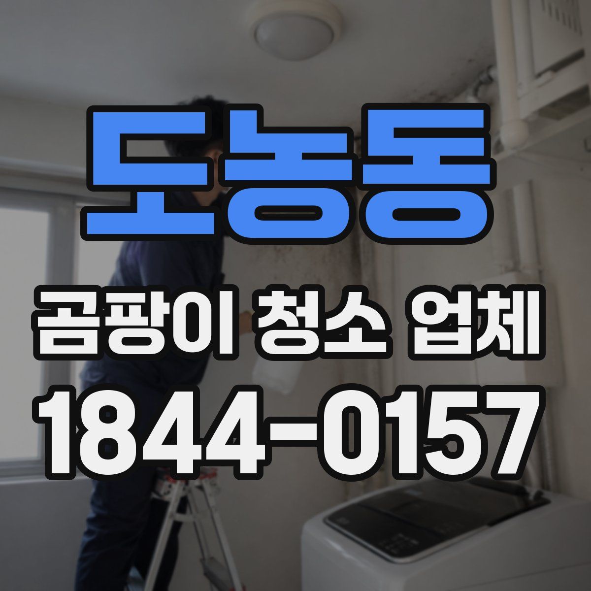 도농동 곰팡이 청소 업체