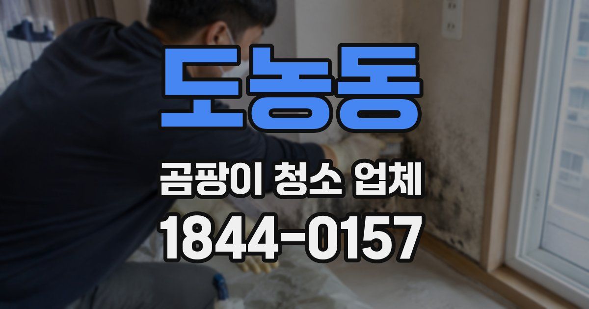 도농동 곰팡이 청소 업체