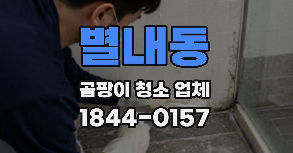 별내동 곰팡이 청소 업체
