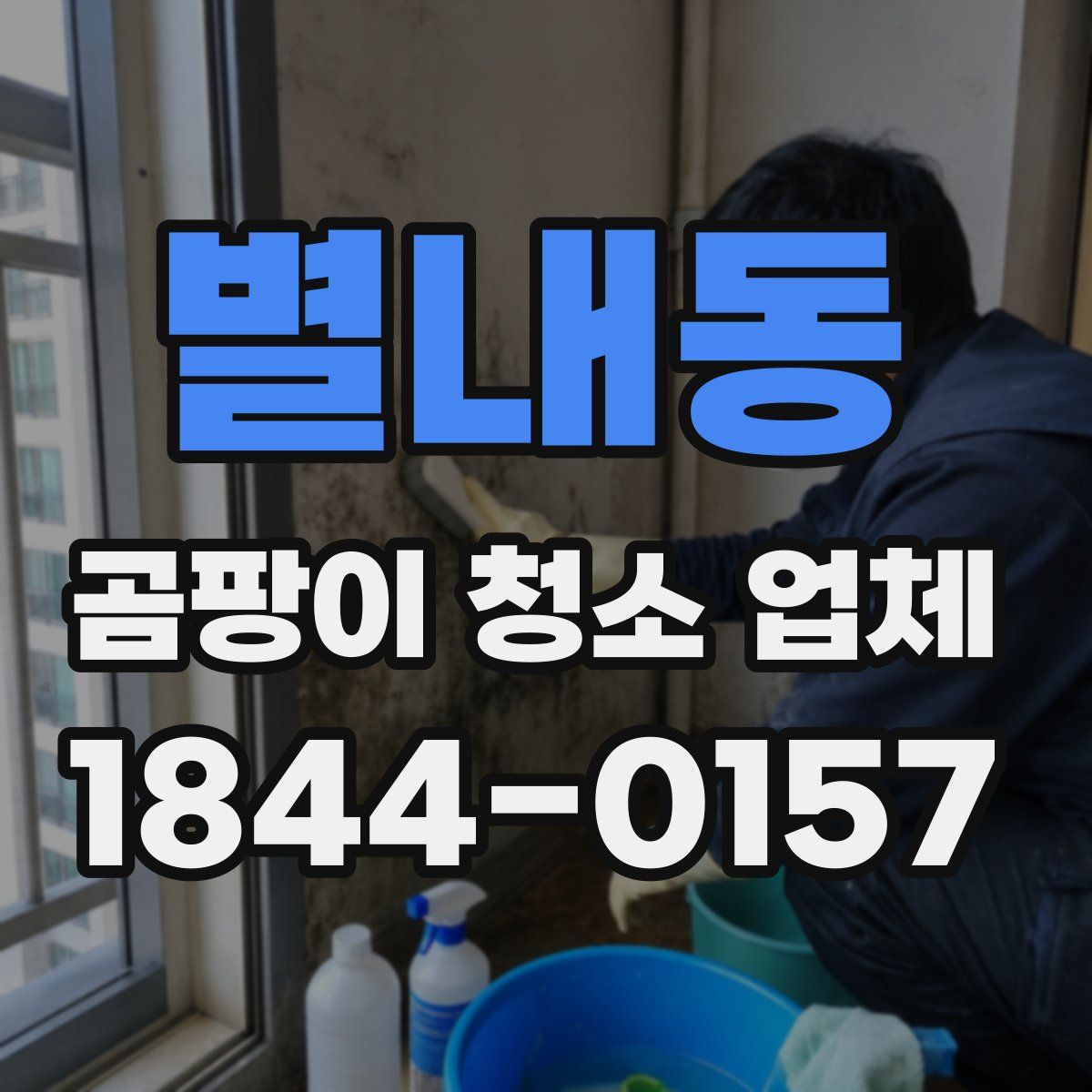 별내동 곰팡이 청소 업체