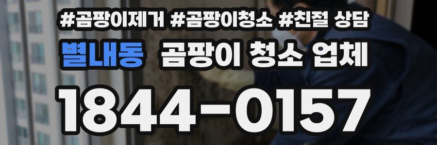 별내동 곰팡이 청소 업체
