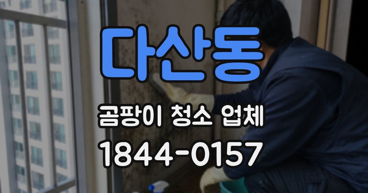 다산동 곰팡이 청소 업체