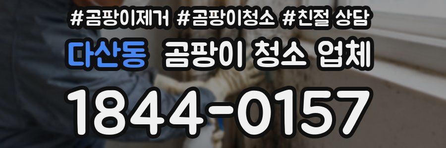 다산동 곰팡이 청소 업체