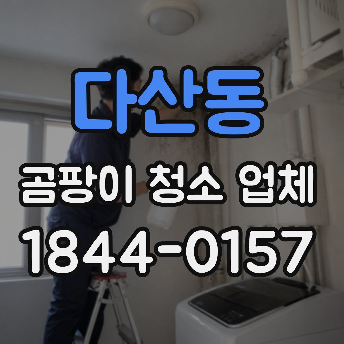 다산동 곰팡이 청소 업체