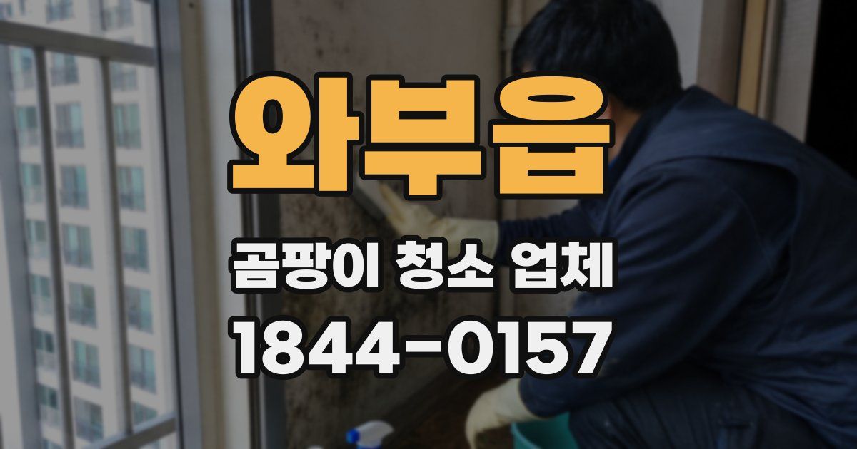 와부읍 곰팡이 청소 업체
