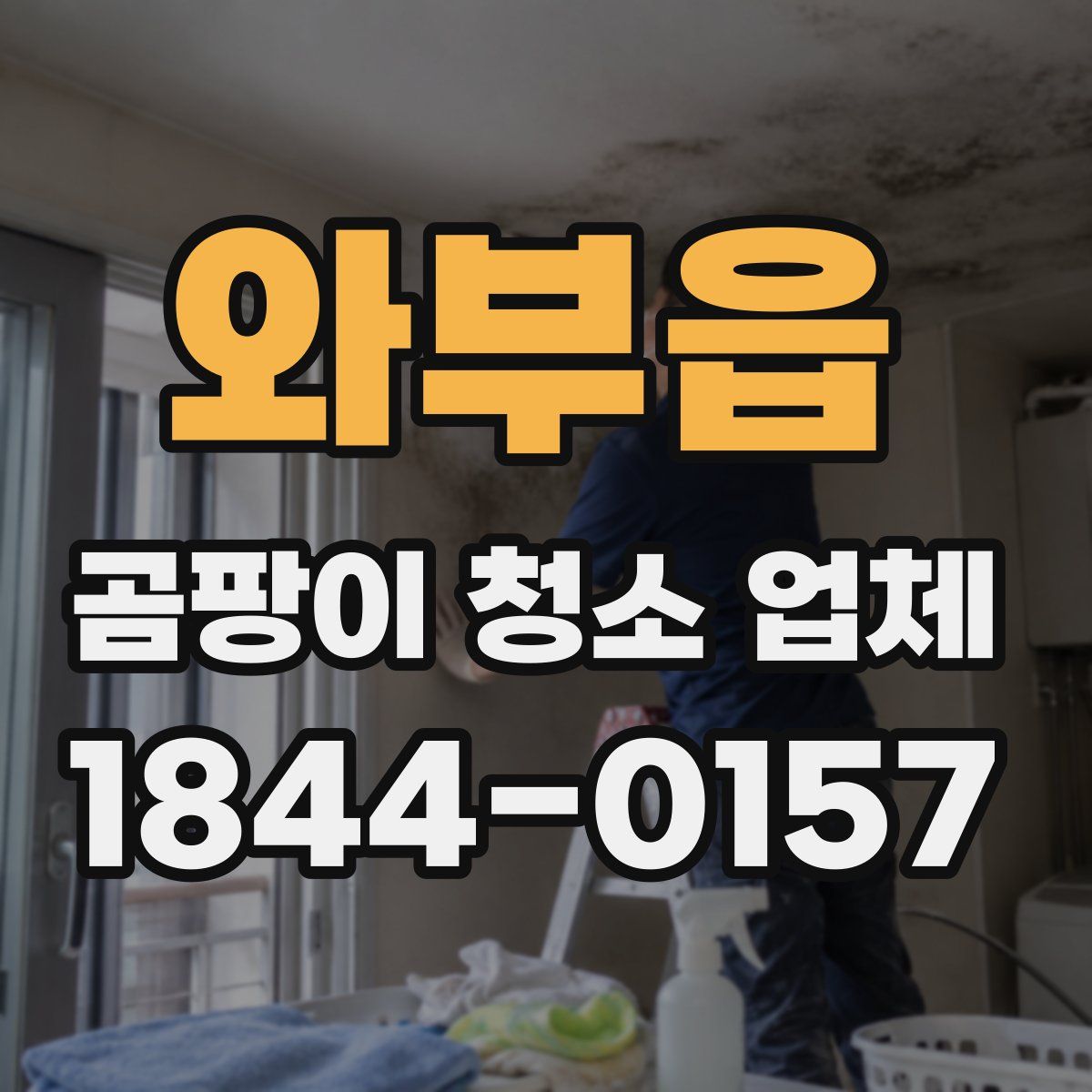 와부읍 곰팡이 청소 업체