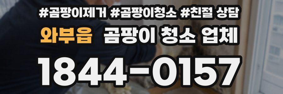 와부읍 곰팡이 청소 업체