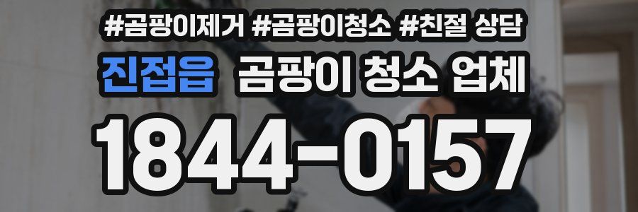 진접읍 곰팡이 청소 업체