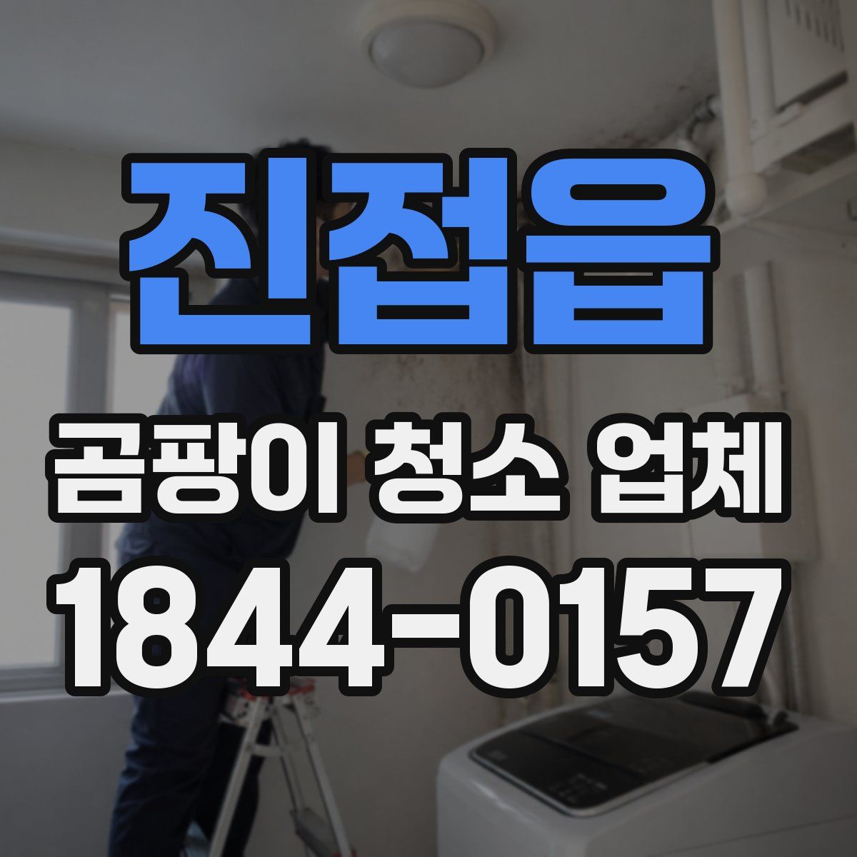 진접읍 곰팡이 청소 업체