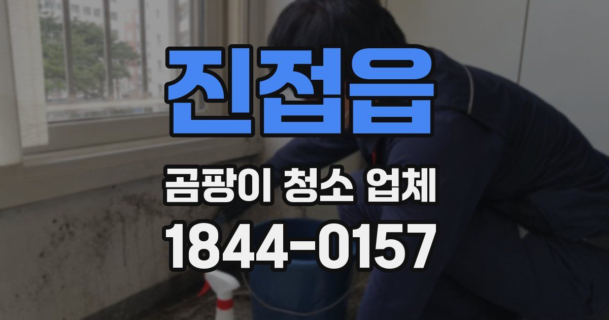 진접읍 곰팡이 청소 업체