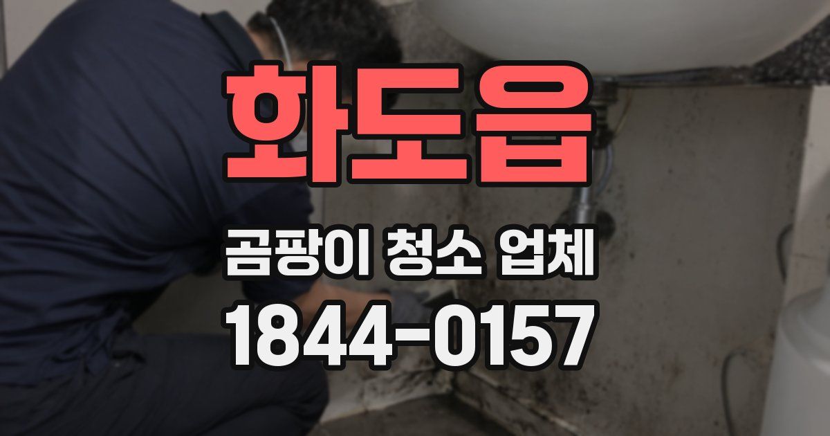 화도읍 곰팡이 청소 업체