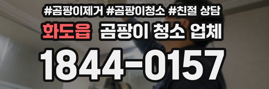 화도읍 곰팡이 청소 업체