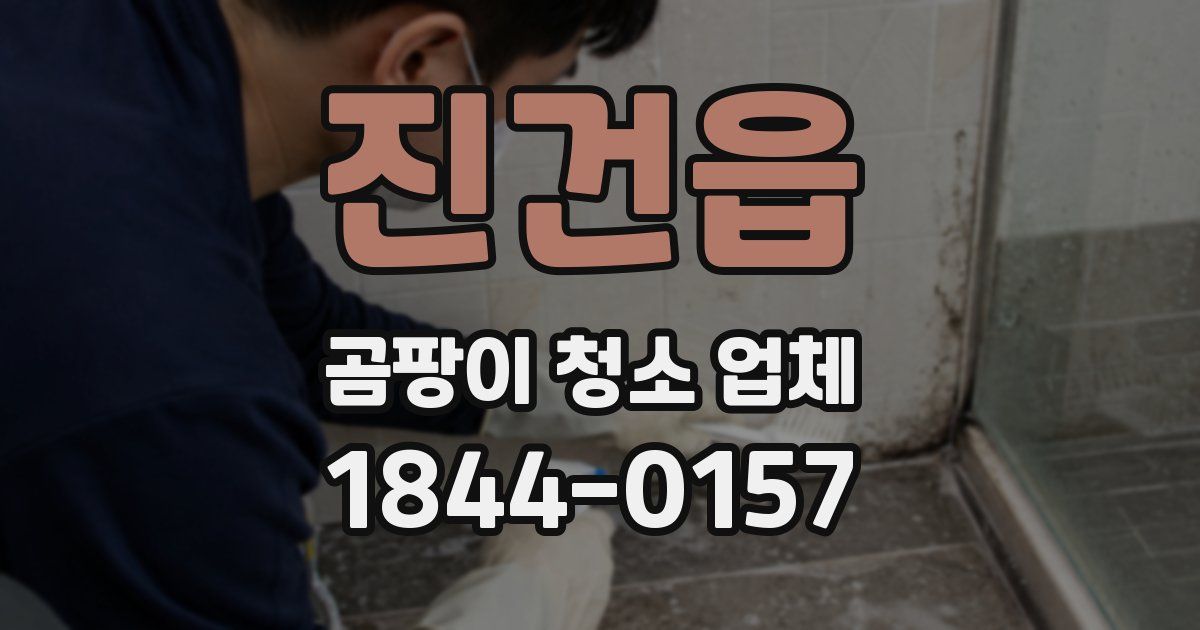 진건읍 곰팡이 청소 업체