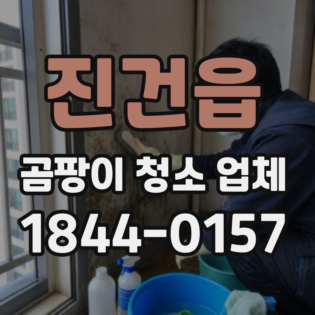 진건읍 곰팡이 청소 업체