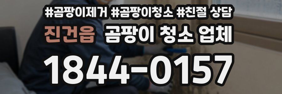 진건읍 곰팡이 청소 업체