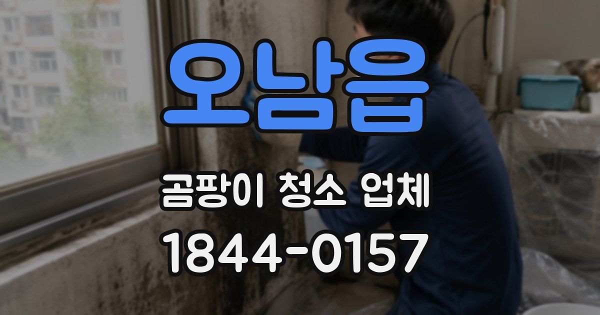 오남읍 곰팡이 청소 업체
