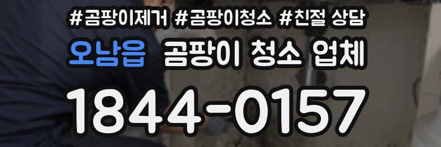 오남읍 곰팡이 청소 업체