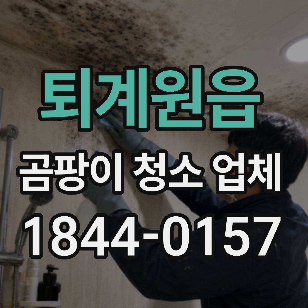 퇴계원읍 곰팡이 청소 업체