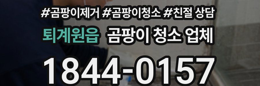 퇴계원읍 곰팡이 청소 업체