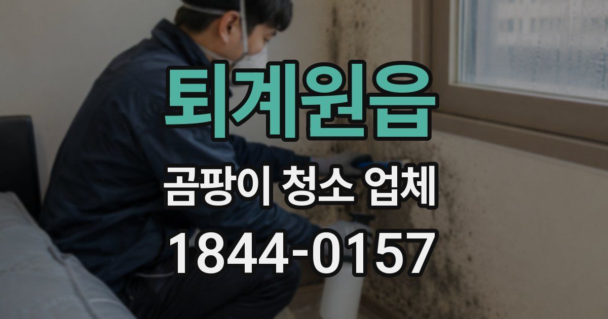 퇴계원읍 곰팡이 청소 업체
