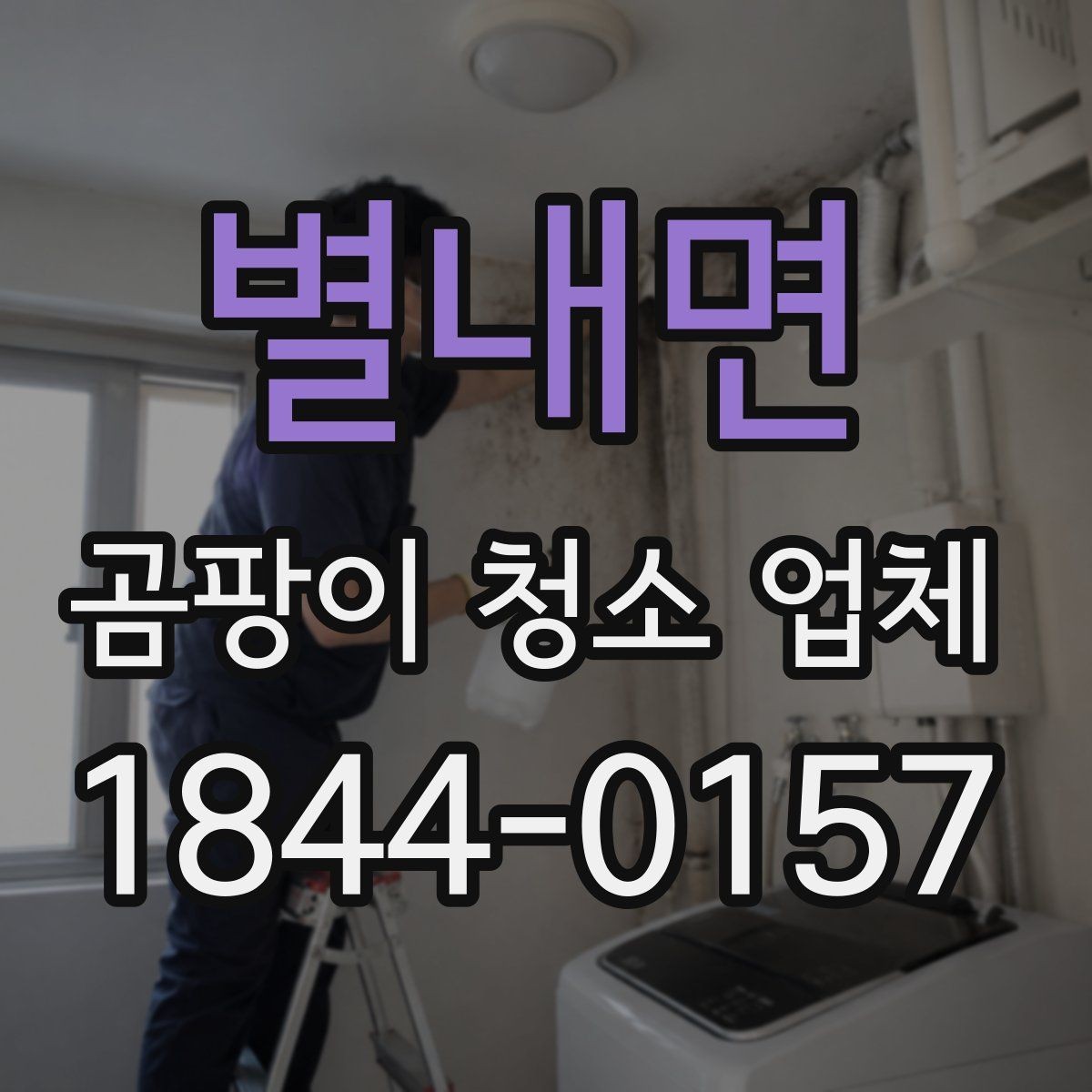 별내면 곰팡이 청소 업체 후기 볼 때 체크할 점